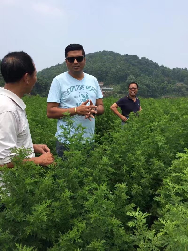 2017年印度著名醫藥公司Mangala